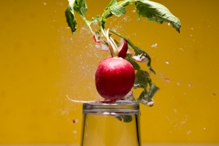 Radieschen / Radish