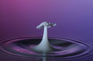 Tropfen in Wasser (100)