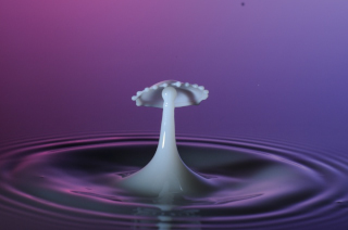 Tropfen in Wasser (101)