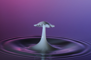 Tropfen in Wasser (103)