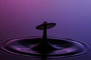 Tropfen in Wasser (104)