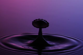 Tropfen in Wasser (107)