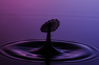 Tropfen in Wasser (113)