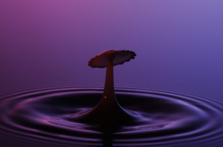 Tropfen in Wasser (116)