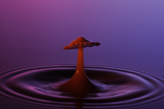 Tropfen in Wasser (117)