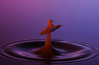Tropfen in Wasser (136)