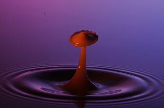 Tropfen in Wasser (145)
