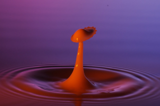 Tropfen in Wasser (157)