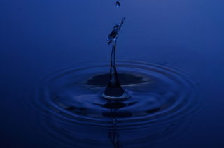 Tropfen in Wasser (15)