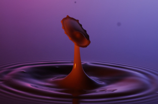 Tropfen in Wasser (187)