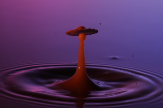 Tropfen in Wasser (194)