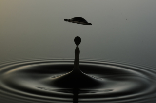 Tropfen in Wasser (239)