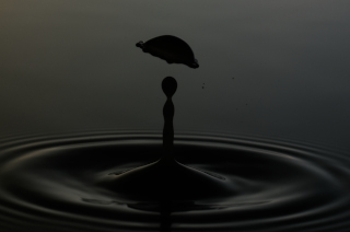 Tropfen in Wasser (245)