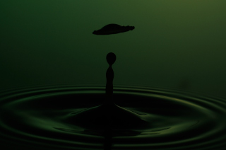 Tropfen in Wasser (255)