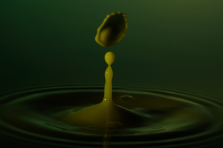 Tropfen in Wasser (267)