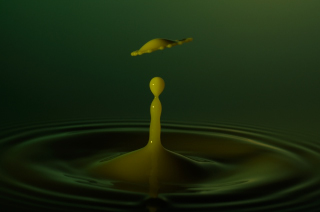 Tropfen in Wasser (269)
