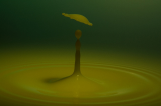 Tropfen in Wasser (273)