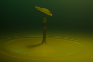 Tropfen in Wasser (276)