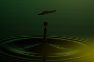 Tropfen in Wasser (281)