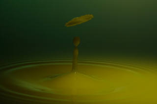 Tropfen in Wasser (282)