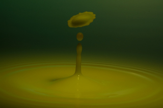 Tropfen in Wasser (283)