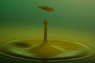 Tropfen in Wasser (297)