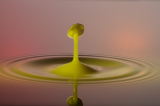 Tropfen in Wasser (298)