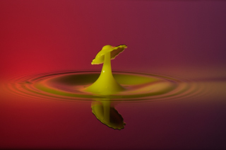 Tropfen in Wasser (326)