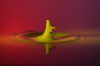 Tropfen in Wasser (327)