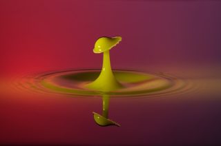 Tropfen in Wasser (332)