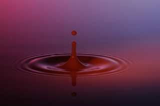 Tropfen in Wasser (365)