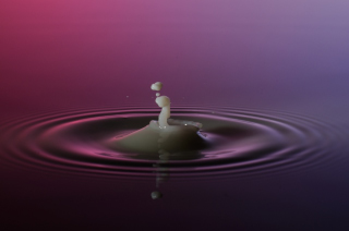 Tropfen in Wasser (381)