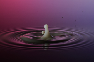 Tropfen in Wasser (425)