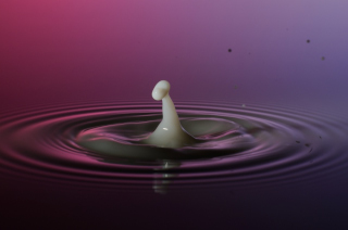Tropfen in Wasser (426)