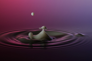 Tropfen in Wasser (436)