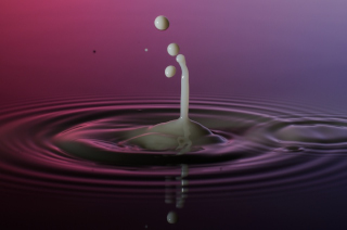 Tropfen in Wasser (437)