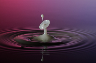 Tropfen in Wasser (445)