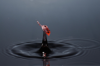 Tropfen in Wasser (446)