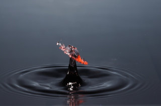 Tropfen in Wasser (447)