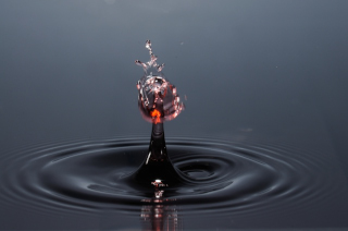 Tropfen in Wasser (449)