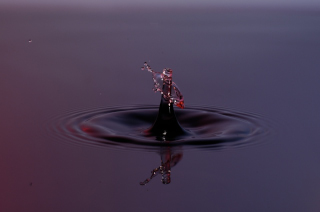 Tropfen in Wasser (453)