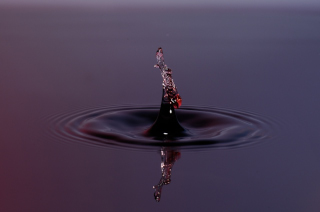 Tropfen in Wasser (455)