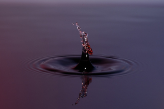 Tropfen in Wasser (456)