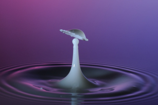 Tropfen in Wasser (92)