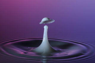 Tropfen in Wasser (94)