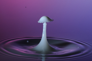 Tropfen in Wasser (95)