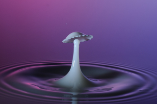 Tropfen in Wasser (97)