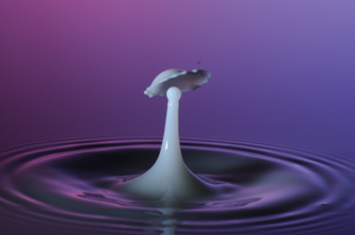 Tropfen in Wasser (98)