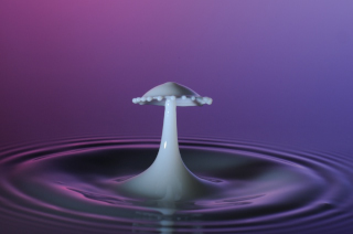 Tropfen in Wasser (99)