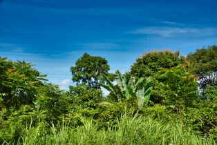 Gunung Raya_54